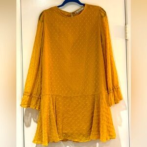 Zara Golden Yellow Drop Waist Dress Size Medium